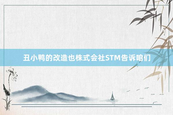 丑小鸭的改造也株式会社STM告诉咱们