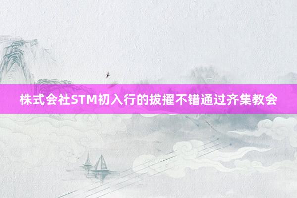 株式会社STM初入行的拔擢不错通过齐集教会