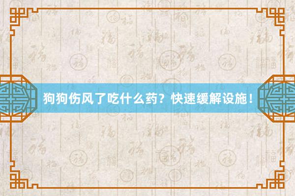 狗狗伤风了吃什么药？快速缓解设施！